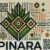 PINARA eco-friendly Bag